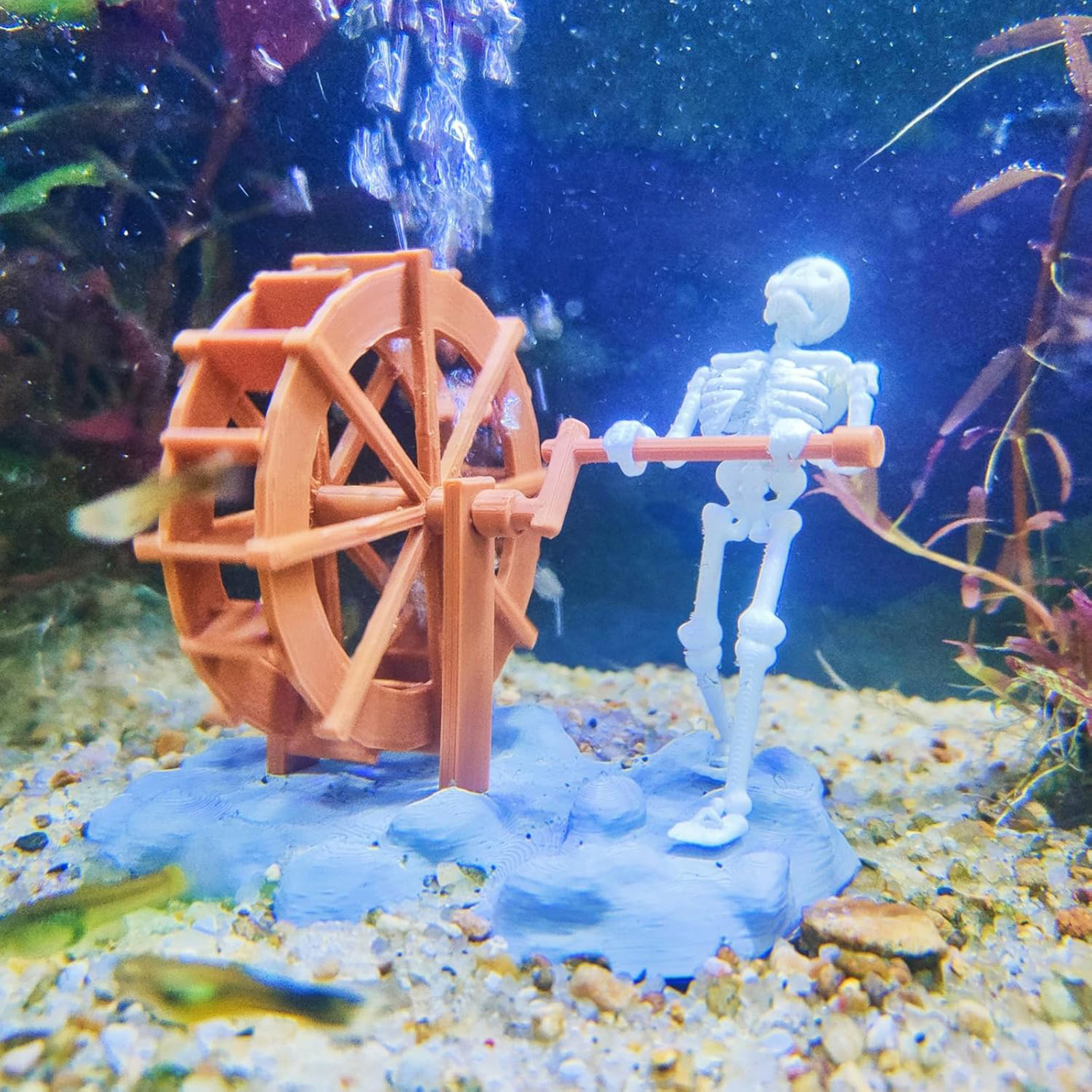 Skeleton Waterwheel Creative U - Aquarium Marine ulasan dan harga