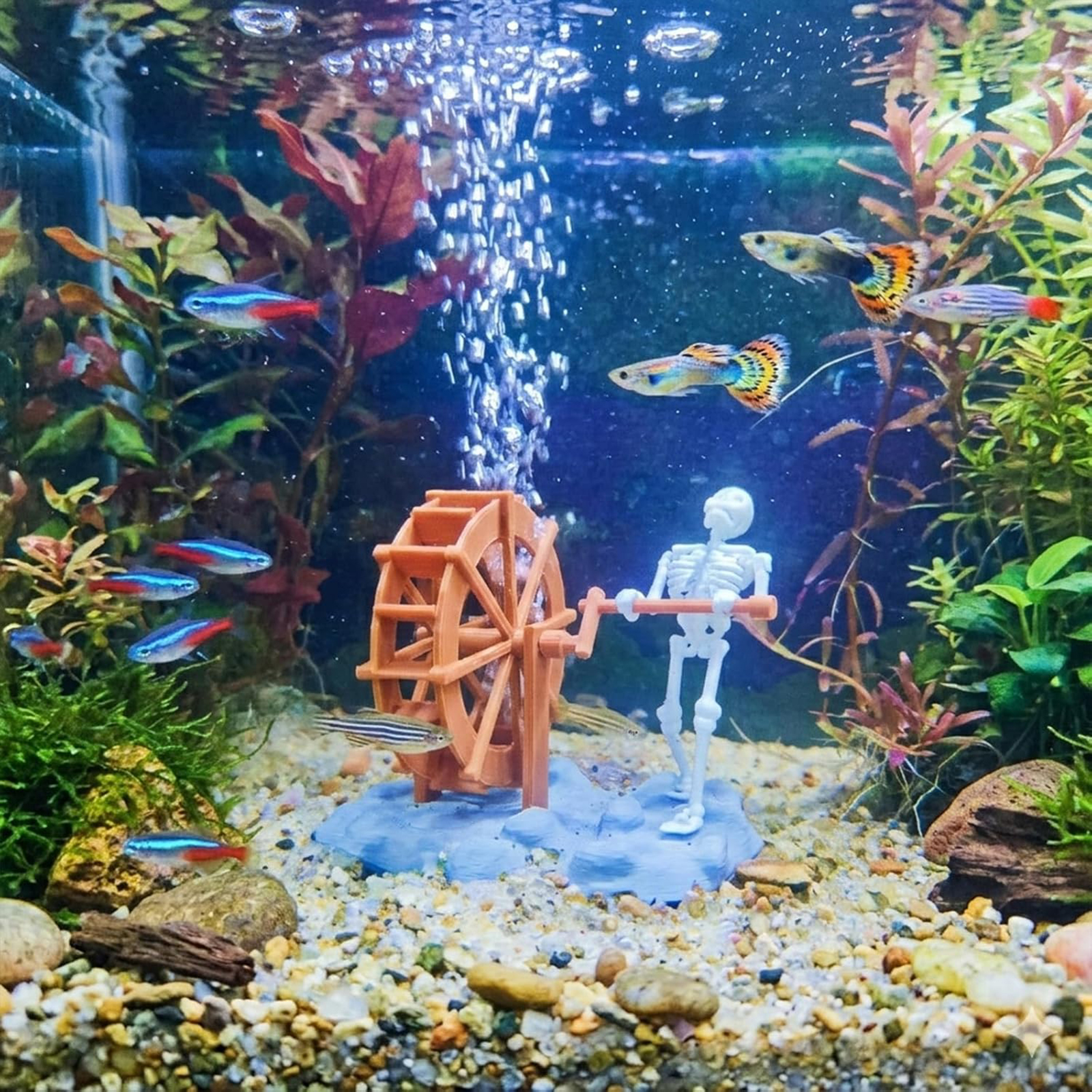 Skeleton Waterwheel Creative U - Aquarium Marine ulasan dan harga